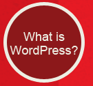 What Is WordPress Button